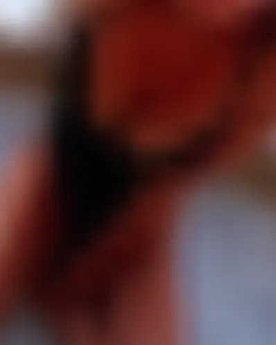Angelina, 27 Jahre — sexkontakte in Hoyerswerda