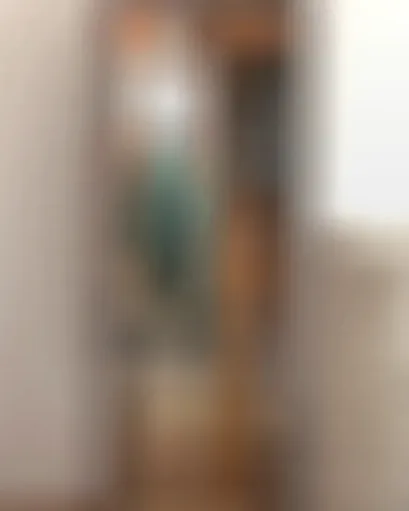 Suri, 22 Jahre — sexkontakte in Schwerin
